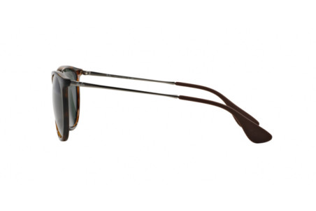 Ray Ban Erika  RB 4171 710/71