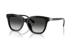 TIFFANY TF4241D 8001/3C