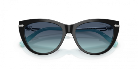 TIFFANY TF4253 8055/9S