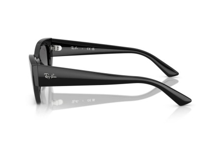 Ray-Ban Zena RB 4430 6677/11