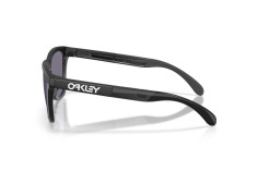 Oakley Frogskins Range XL OO 9503 06 2